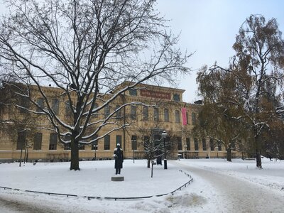 Královská knihovna
